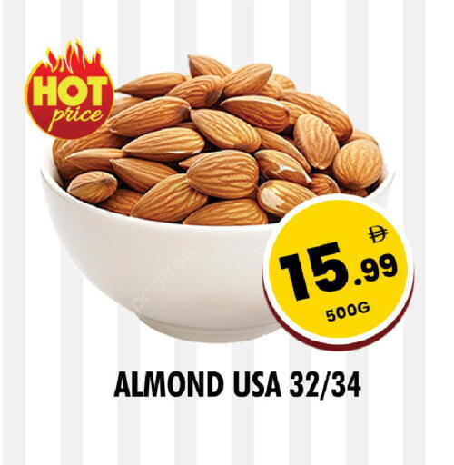available at نايت تو نايت in الإمارات العربية المتحدة , الامارات - الشارقة / عجمان