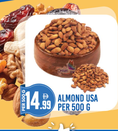 available at Dream Land in UAE - Dubai