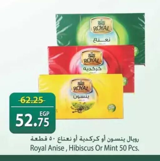 Anise Mint available at سبينس in Egypt - القاهرة