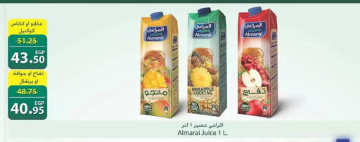 Pineapple available at سبينس in Egypt - القاهرة