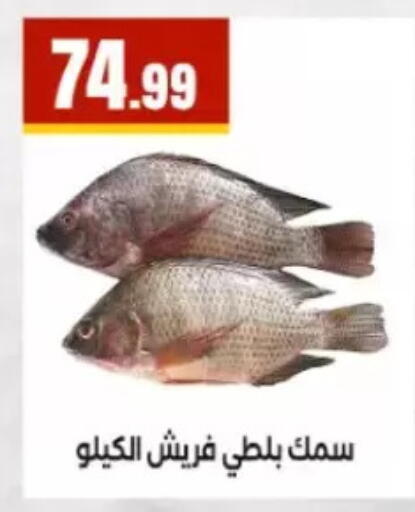 available at مارت فيل in Egypt - القاهرة