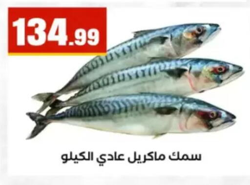available at مارت فيل in Egypt - القاهرة