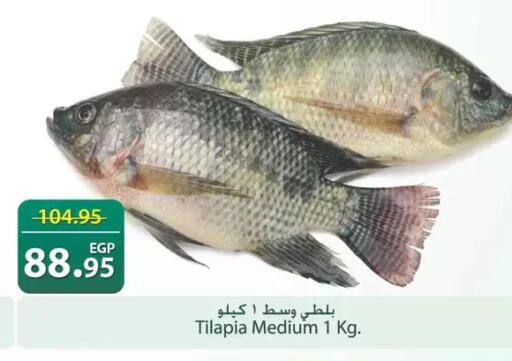 available at سبينس in Egypt - القاهرة