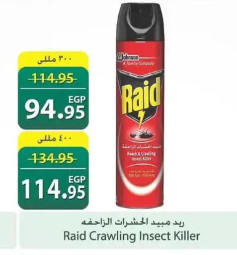available at سبينس in Egypt - القاهرة