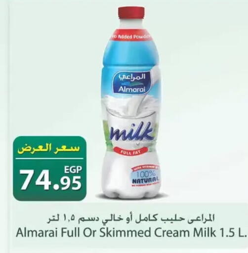 available at سبينس in Egypt - القاهرة