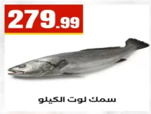 available at مارت فيل in Egypt - القاهرة