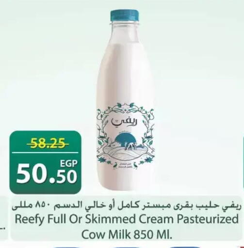available at سبينس in Egypt - القاهرة