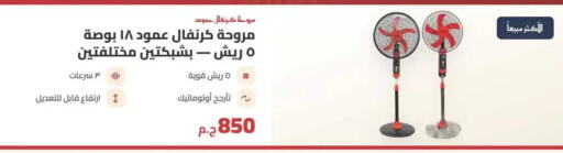 available at سبينس in Egypt - القاهرة