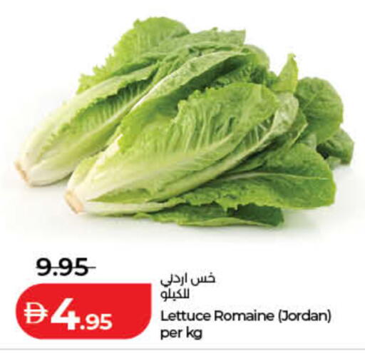 Lettuce from Jordan available at Lulu Hypermarket in UAE - Fujairah