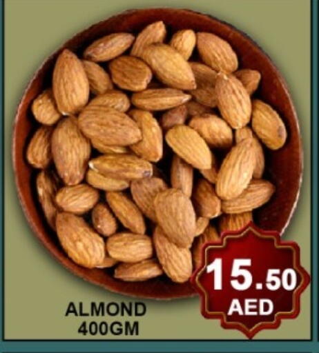 available at جرين جيفت متجر أقسام in الإمارات العربية المتحدة , الامارات - دبي