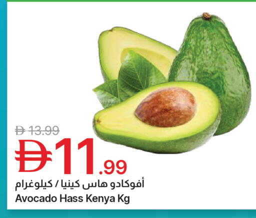 Avocado from Kenya available at جمعية الامارات التعاونية in الإمارات العربية المتحدة , الامارات - دبي