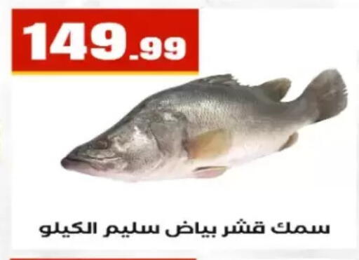 available at مارت فيل in Egypt - القاهرة