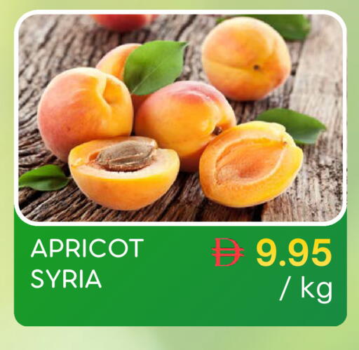 Apricot available at سيليكت ماركت in الإمارات العربية المتحدة , الامارات - أبو ظبي