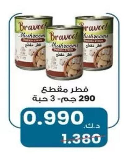Mushroom available at  جمعية مبارك الكبير والقرين التعاونية in الكويت - مدينة الكويت