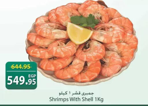 available at سبينس in Egypt - القاهرة