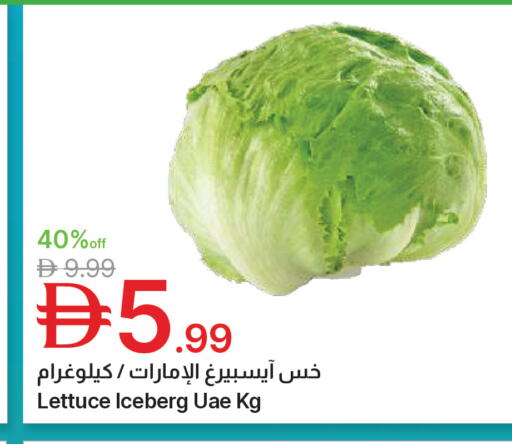 Lettuce available at جمعية الامارات التعاونية in الإمارات العربية المتحدة , الامارات - دبي