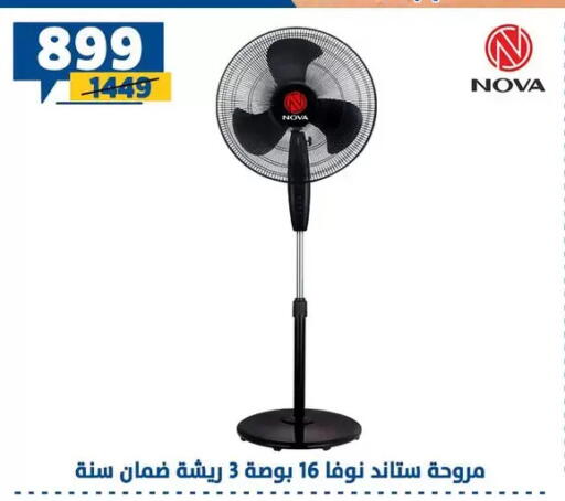 available at Shaheen Center in Egypt - Cairo