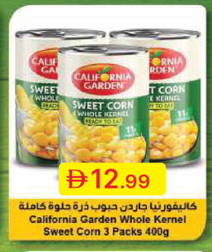 available at جمعية الامارات التعاونية in الإمارات العربية المتحدة , الامارات - دبي