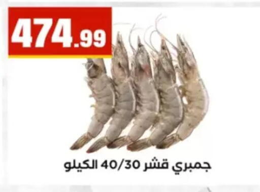 available at مارت فيل in Egypt - القاهرة