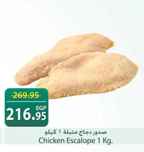 available at سبينس in Egypt - القاهرة