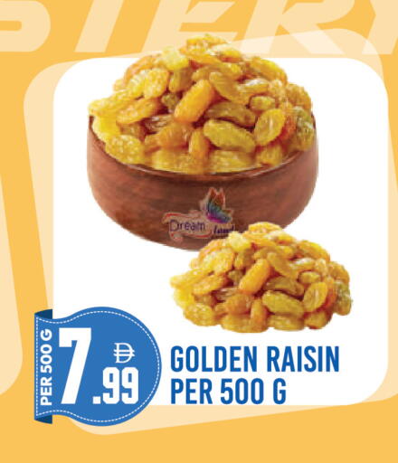available at Dream Land in UAE - Dubai