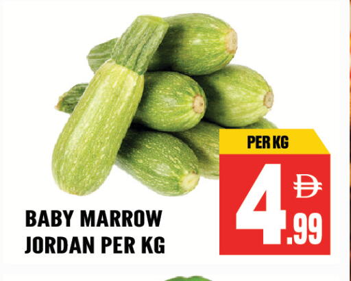 Marrow from Jordan available at دريم لاند in الإمارات العربية المتحدة , الامارات - الشارقة / عجمان