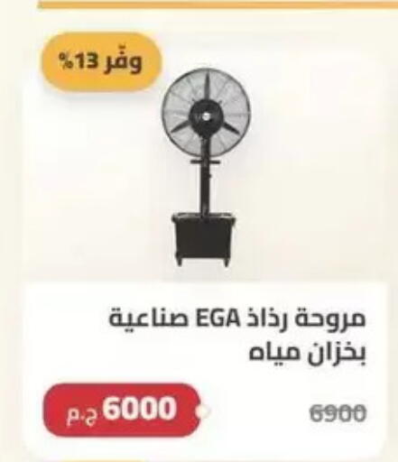 available at سبينس in Egypt - القاهرة