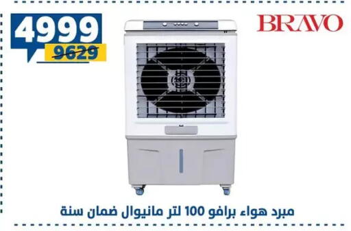 available at Shaheen Center in Egypt - Cairo