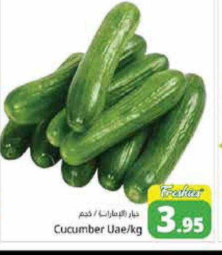 Cucumber available at هايبر ماركت باسونز in الإمارات العربية المتحدة , الامارات - دبي