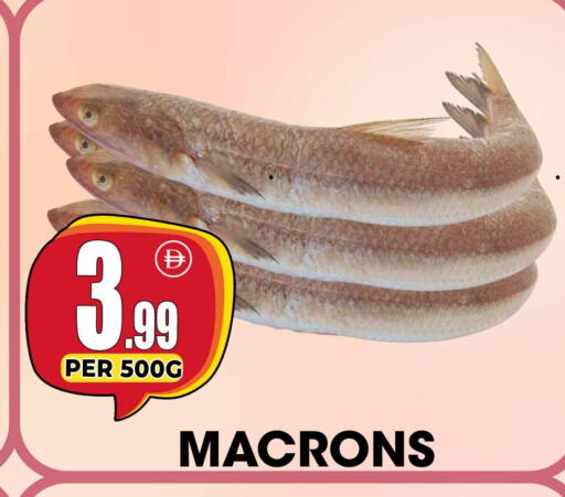 available at Centro Discount Center in UAE - Dubai