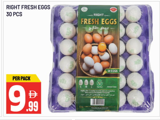 available at دريم لاند in الإمارات العربية المتحدة , الامارات - الشارقة / عجمان