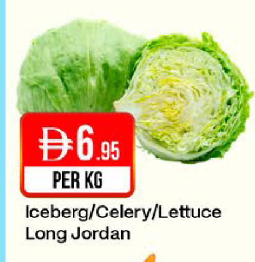 Celery Lettuce from Jordan available at West Zone Supermarket in UAE - Dubai