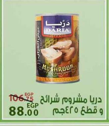 Mushroom available at Sarai Market  in Egypt - Cairo