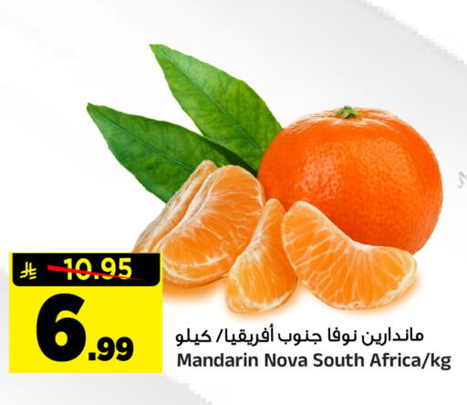 Mandarin from South Africa available at المدينة هايبرماركت in مملكة العربية السعودية, السعودية, سعودية - الرياض