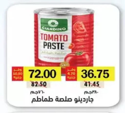 Tomato available at رويال هاوس in Egypt - القاهرة