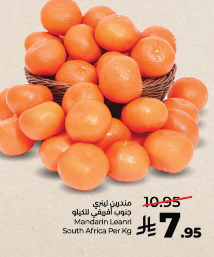 Mandarin from South Africa available at لولو هايبرماركت in مملكة العربية السعودية, السعودية, سعودية - مكة المكرمة