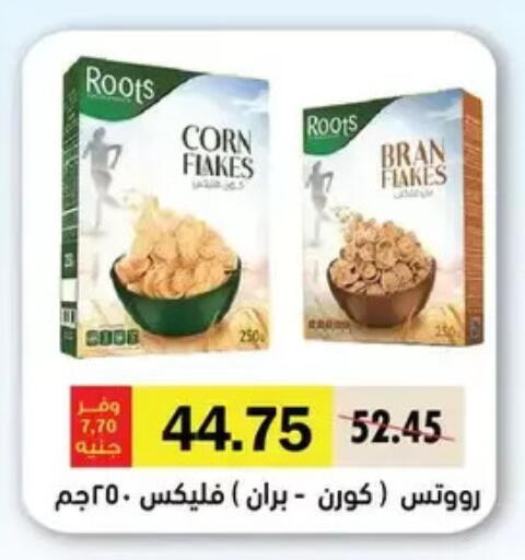 available at رويال هاوس in Egypt - القاهرة