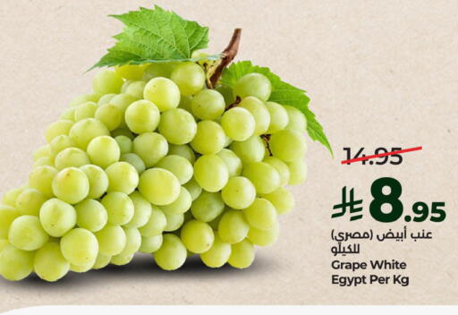 from Egypt available at لولو هايبرماركت in مملكة العربية السعودية, السعودية, سعودية - الجبيل‎