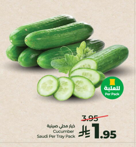 Cucumber from Saudi Arabia available at LULU Hypermarket in KSA, Saudi Arabia, Saudi - Unayzah