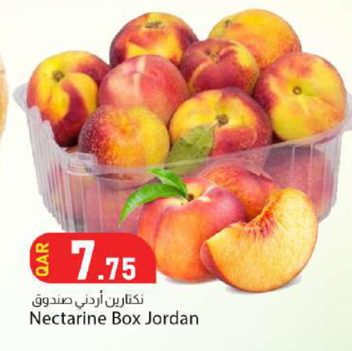 Nectarine from Jordan available at Dana Market in Qatar - Al Rayyan