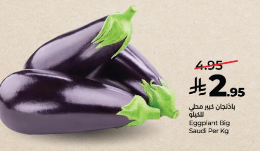 Eggplant from Saudi Arabia available at LULU Hypermarket in KSA, Saudi Arabia, Saudi - Mecca