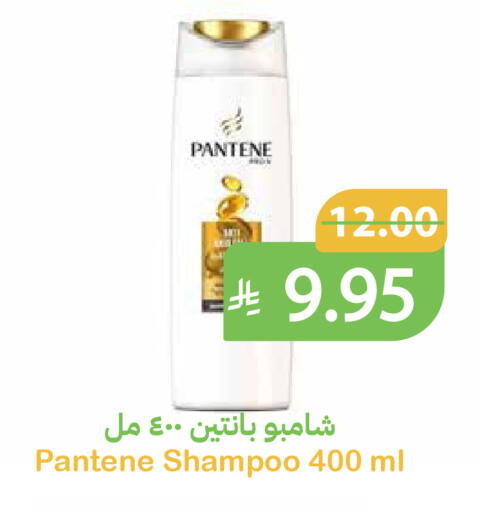 available at Qateba Markets in KSA, Saudi Arabia, Saudi - Buraidah