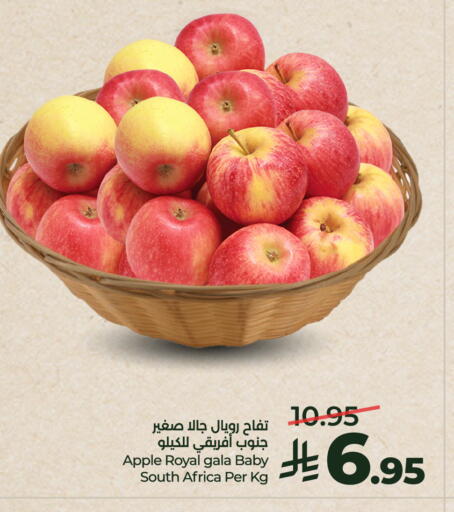 Apple from South Africa available at LULU Hypermarket in KSA, Saudi Arabia, Saudi - Unayzah