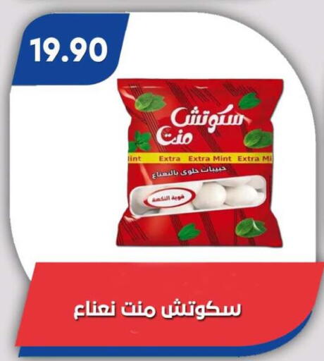 Mint available at Bassem Market in Egypt - Cairo