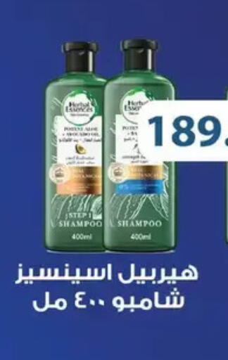 available at رويال هاوس in Egypt - القاهرة