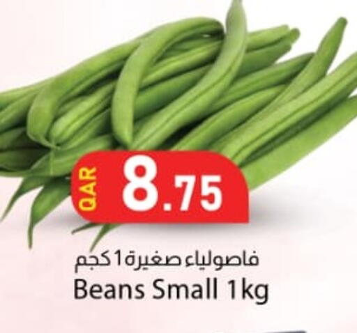 available at دانا ماركت in قطر - الريان
