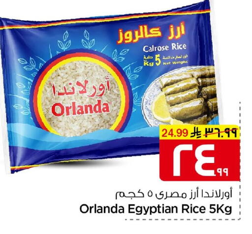 available at Nesto in KSA, Saudi Arabia, Saudi - Al Hasa