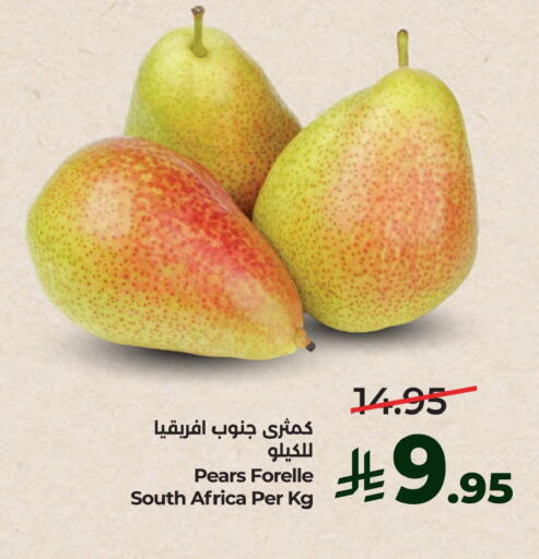 from South Africa available at LULU Hypermarket in KSA, Saudi Arabia, Saudi - Hafar Al Batin