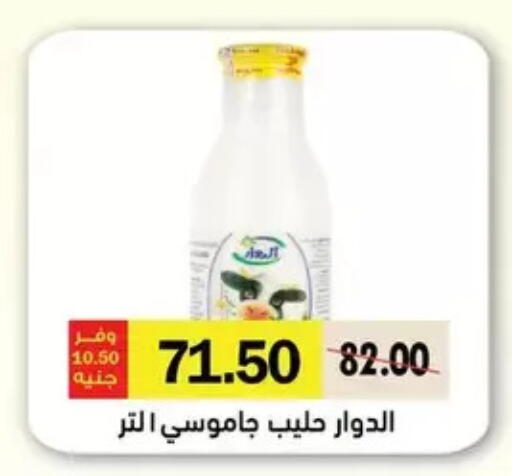 available at رويال هاوس in Egypt - القاهرة