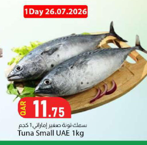 available at Dana Market in Qatar - Al Rayyan